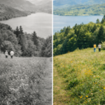 Eu vou trazer a cor das suas fotos antigas de volta