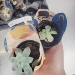 Eu vou realizar a edição profissional de suas fotos