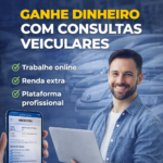 Eu vou ensinar a fazer consultas veiculares para renda extra