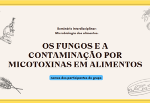 Eu vou Transformar seu conteúdo em slides profissionais.