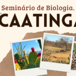 Eu vou montar slides para você, usando elementos do Canva.