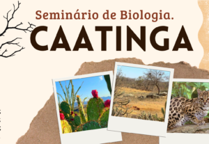 Eu vou montar slides para você, usando elementos do Canva.