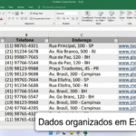 Eu vou extrair listas de contatos e empresas do Google Maps