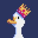 Foto do perfil do trabalhador freelancer