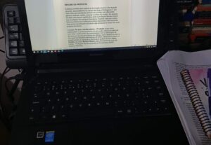 Eu vou revisar seus textos profissionais