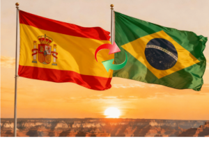 Eu vou Traduzir seu texto ou ebook espanhol/português