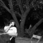 Eu vou criar type beats que você procura