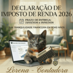 Eu vou fazer a sua declaração de imposto de renda 2026
