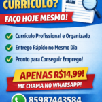 Eu vou Fazer seu currículo bem detalhado