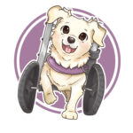 Eu vou fazer ilustrações de Pets de forma fofa/kawaii