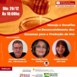 Eu vou Criar Design de post e social media