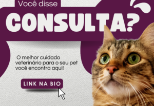 Eu vou criar artes para Instagram