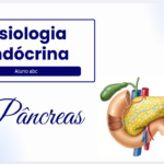 Eu vou fazer seu slide para escola, faculdade ou trabalho