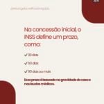 Eu vou posicionar sua marca de forma profissional nas redes