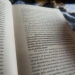 Eu vou fazer escrita, tradução e diagramação