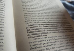 Eu vou fazer escrita, tradução e diagramação