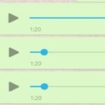 Eu vou gravar áudios/digitar texto para whatsapp.
