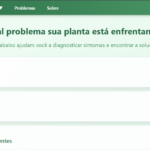 Eu vou fazer o site da sua loja