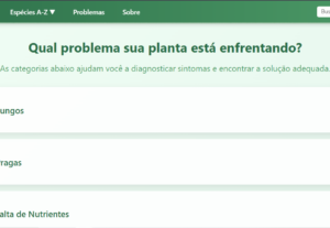 Eu vou fazer o site da sua loja