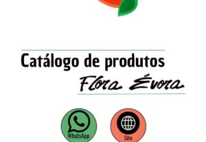Eu vou criar um catálogo interativo de 5 pág para seu negóci...