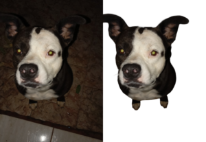 Eu vou Remover os fundos das suas fotos em menos de 24 horas
