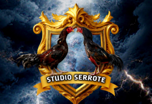 Eu vou criar logotipos para perfis ou marcas.