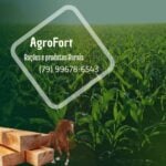 Eu vou Criar Design gráfico em redes sociais