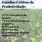 Eu vou Fazer postagens profissionais para suas redes sociais