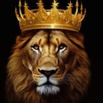 Eu vou fazer seu imposto de renda