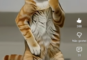 Eu vou editar seus vídeos o mais rápido possível