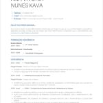 Eu vou Criar currículo profissional + revisão completa