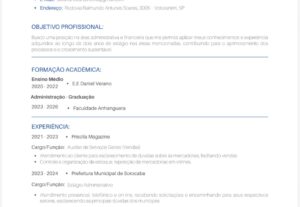 Eu vou Criar currículo profissional + revisão completa