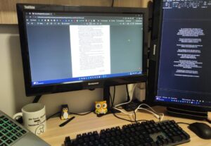Eu vou traduzir ou revisar seu documento em até 24hrs