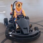 Eu vou Criar cenas para o seu Canal do YouTube