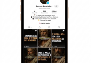 Eu vou fazer design de luxo e ativos de alta autoridade.
