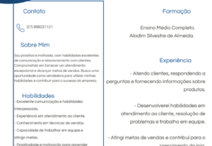Eu vou criar um currículo profissional e atrativo em PDF