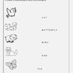 Eu vou Desenvolver provas escritas e orais em inglês