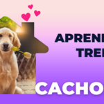 Eu vou fazer uma logo com boa qualidade