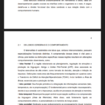 Eu vou formatar todo seu trabalho nas normas ABNT.