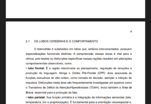 Eu vou formatar todo seu trabalho nas normas ABNT.