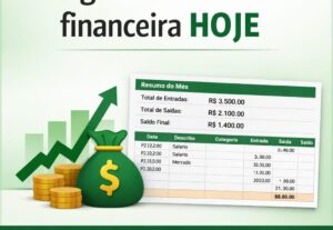Eu vou Organizar sua vida financeira