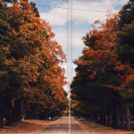 Eu vou criar um Designer personalizado