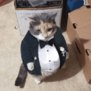 Foto do perfil do trabalhador freelancer