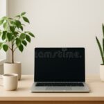 Eu vou digitar e organizar seus documento