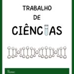 Eu vou Formatar o seu trabalho escolar.