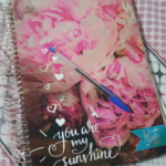 Eu vou transcrever até 15 minutos de áudio ou vídeo