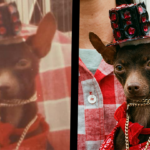 Eu vou criar ou restaurar uma imagem para você utilizando IA