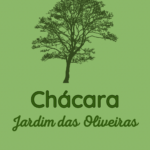 Eu vou fazer posts profissionais para sua rede social