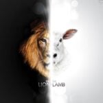 Eu vou Fazer um design Gráfico até 24h