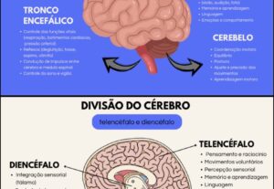 Eu vou fazer resumos da sua faculdade e escola